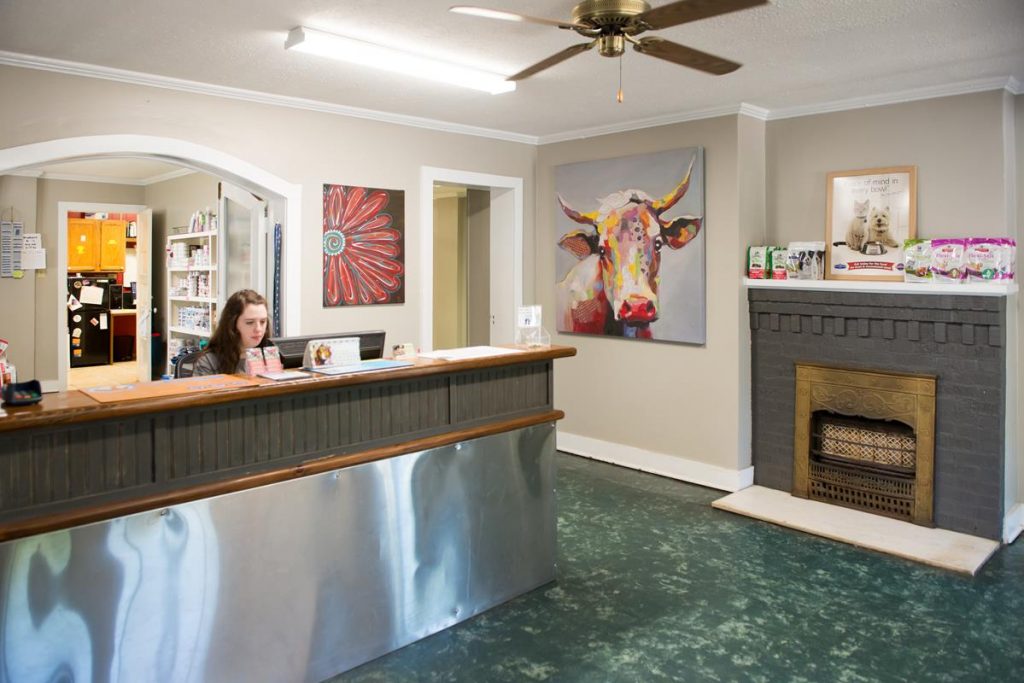 New Clients Jasper County Veterinary Services